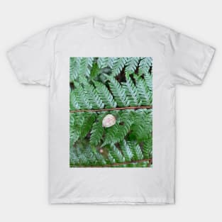 Tree fern T-Shirt